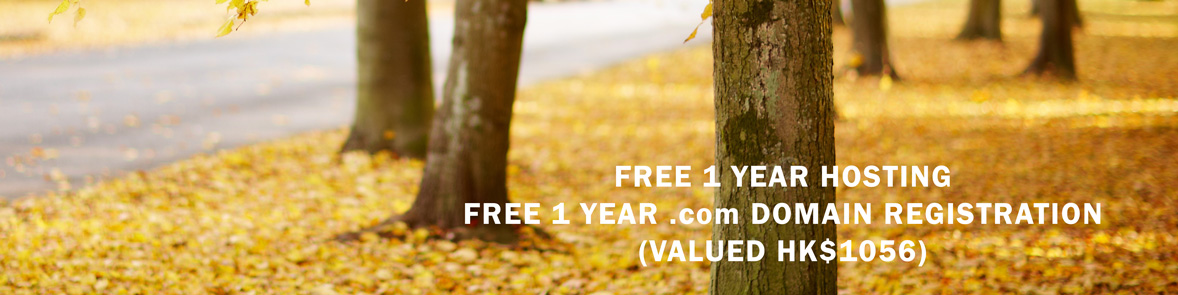 365WEBPRO Web Design & Hosting